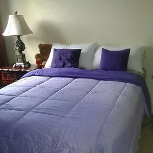 Homestay Gated Secured Private, Spanish Town